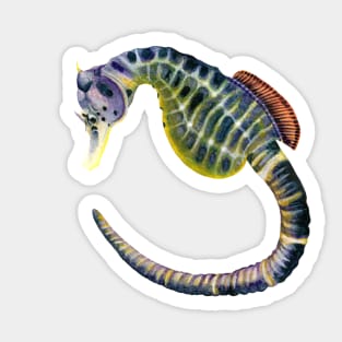 Big-bellied seahorse watercolour painting Sticker